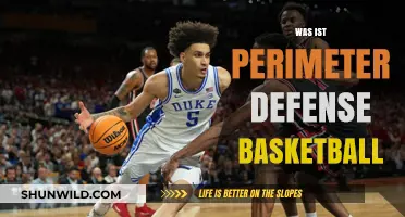 Perimeter Defense: Basketball's Ultimate Guide to Success