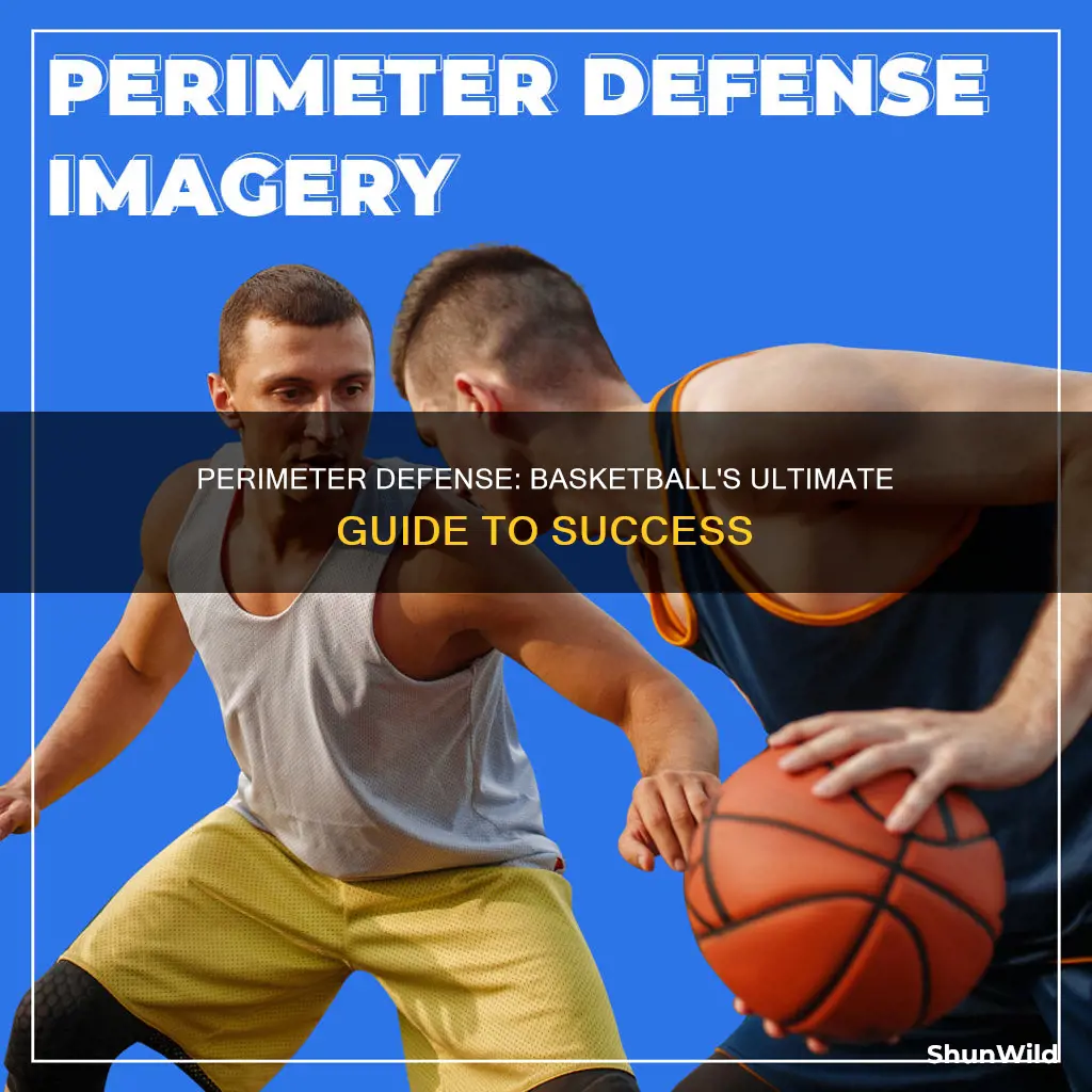 was ist perimeter defense basketball