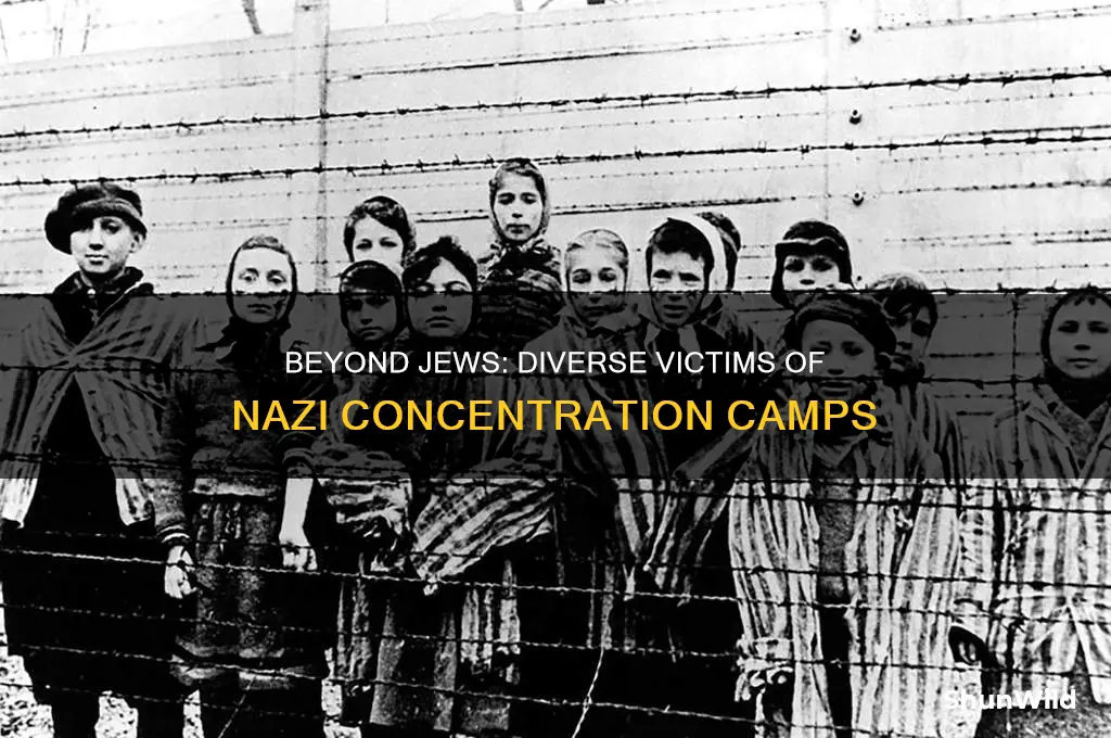 was it only jews in concentration camps