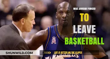 Jordan's Exit: Forced or Voluntary?