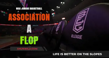 The Junior Basketball Association: A Flop or Not?