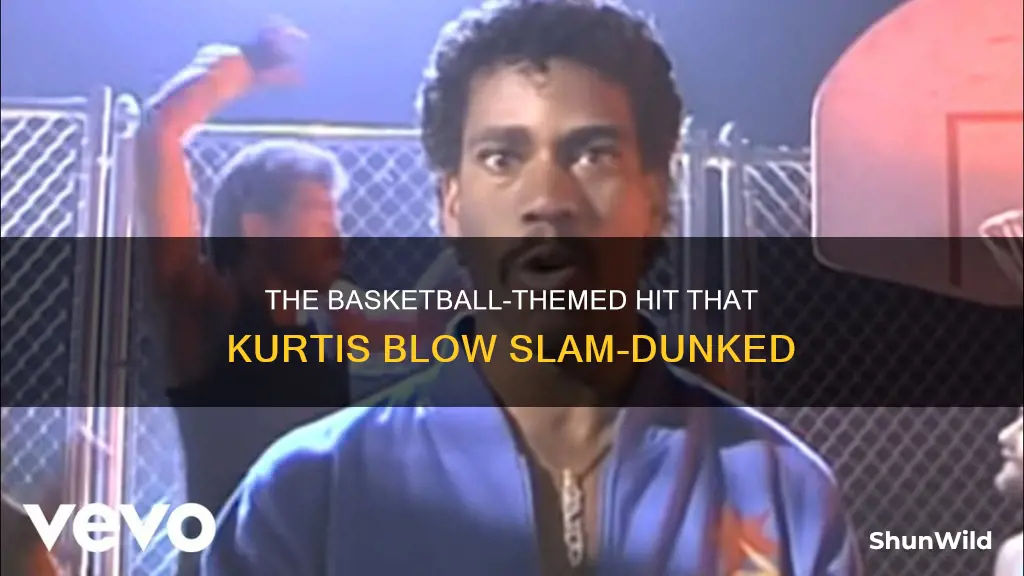 was kurtis blow basketball a hit