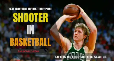 Larry Bird: Basketball's Greatest Three-Point Shooter?