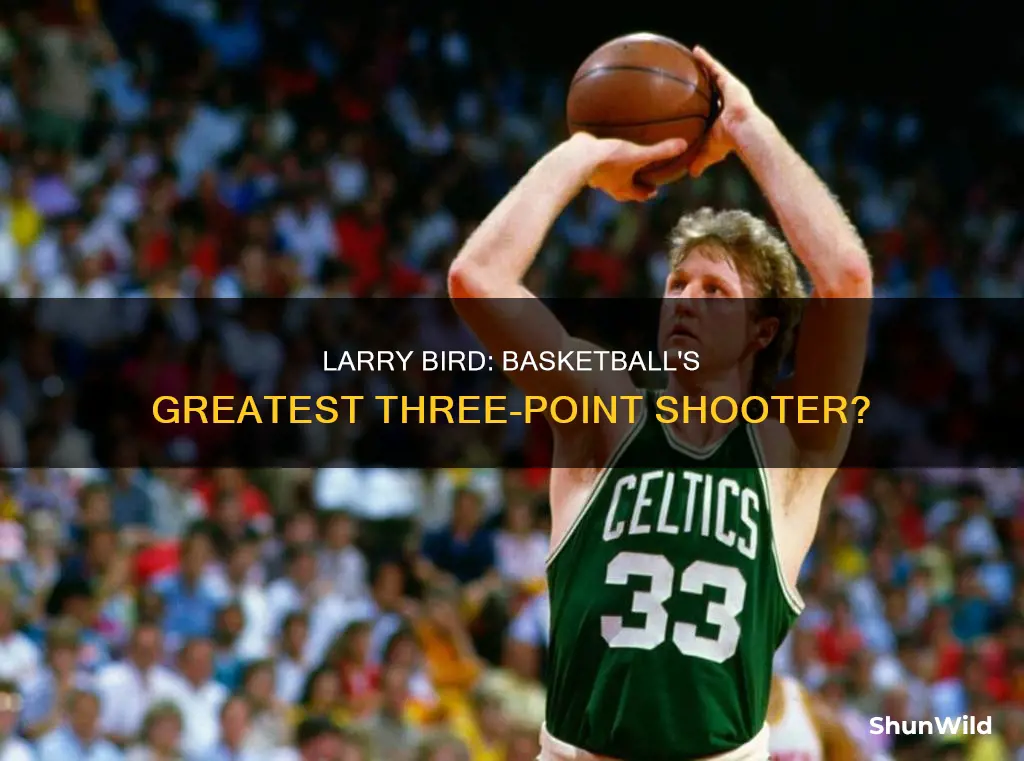 was larry bird the best three point shooter in basketball