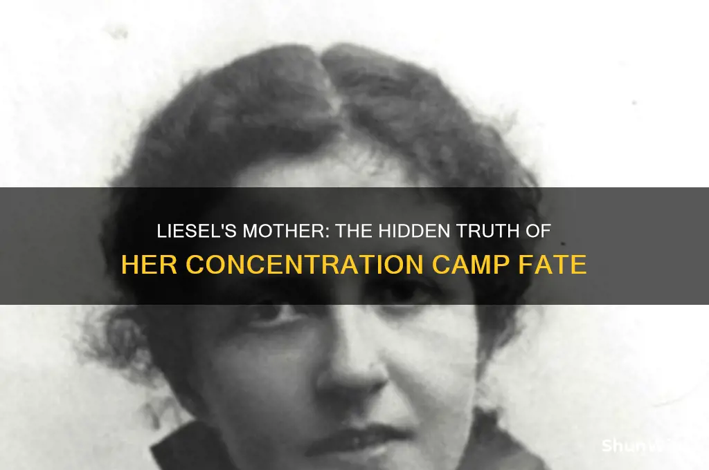 was liesels mother put in a concentration camp