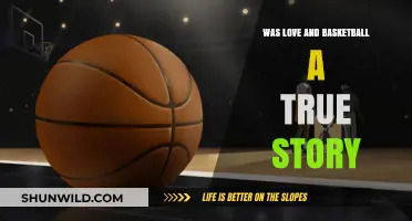 Love & Basketball: Fact or Fiction?