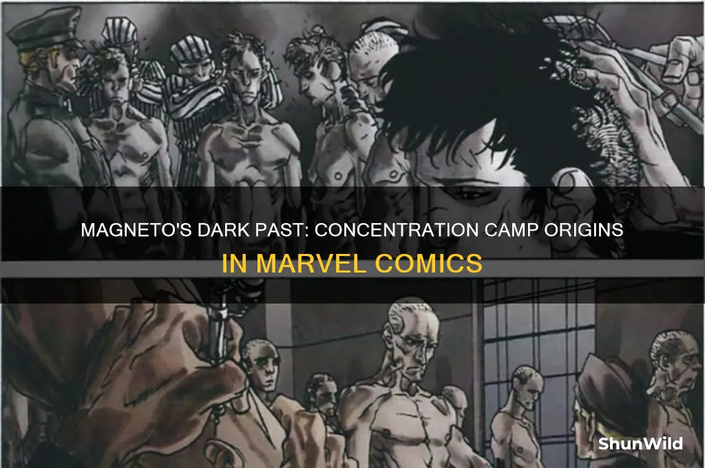 was magneto in a concentration camp