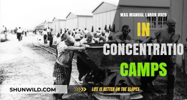 Forced Labor in Concentration Camps: The Brutal Reality of Manual Work