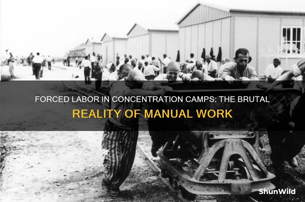 was manual labor used in concentration camps