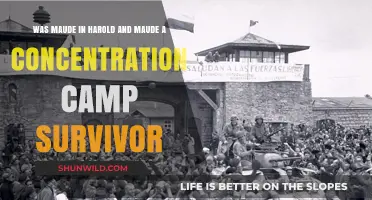 Harold and Maude's Maude: Concentration Camp Survivor or Misinterpretation?
