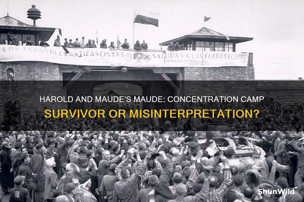 was maude in harold and maude a concentration camp survivor
