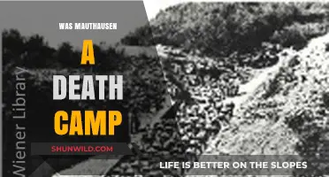Mauthausen: Death Camp or Concentration Camp? Uncovering the Truth