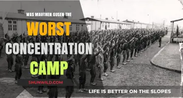 Mauthausen-Gusen: The Brutal Reality of Nazi Concentration Camps