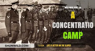 Was Max Sent to a Concentration Camp? Uncovering the Truth