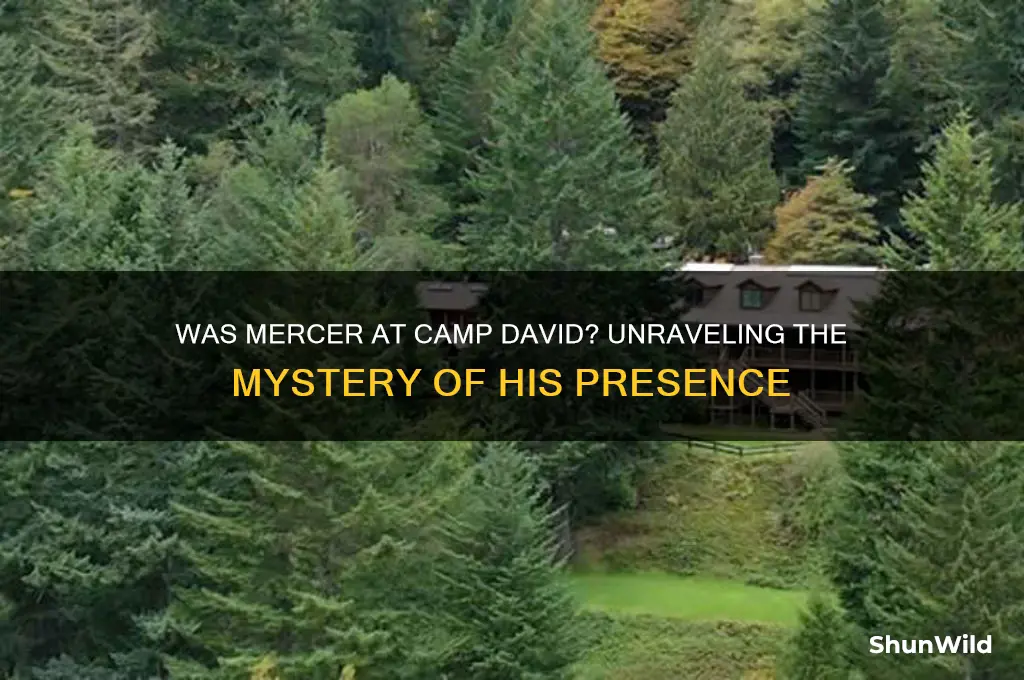 was mercer at camp david