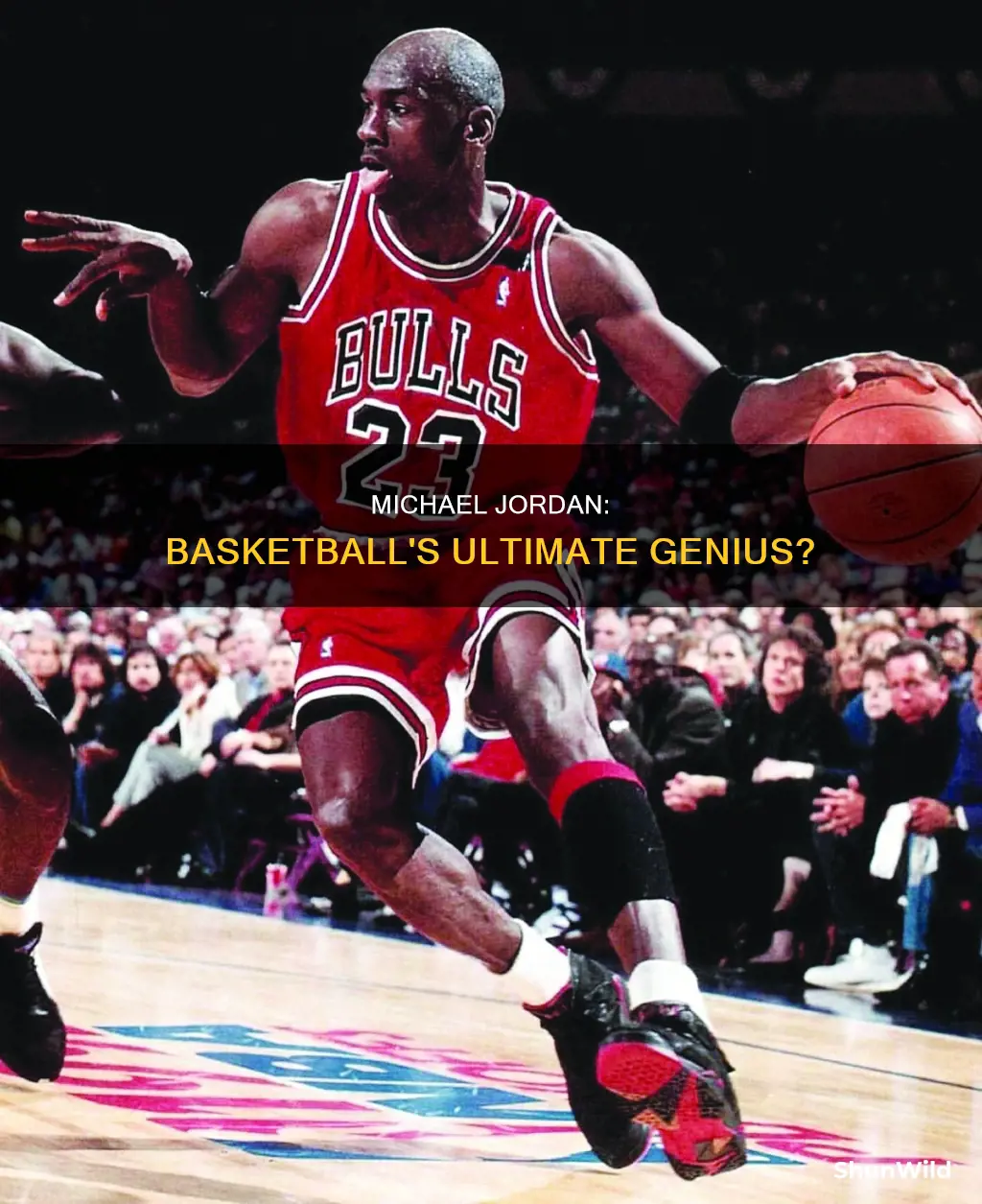 was michael jordan a genius at basketball