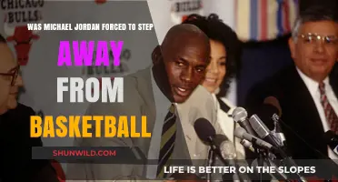 The Mystery Behind Michael Jordan's Hiatus