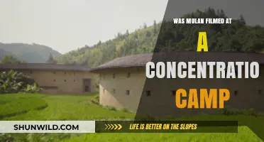 Mulan Filming Location Controversy: Concentration Camp Claims Examined