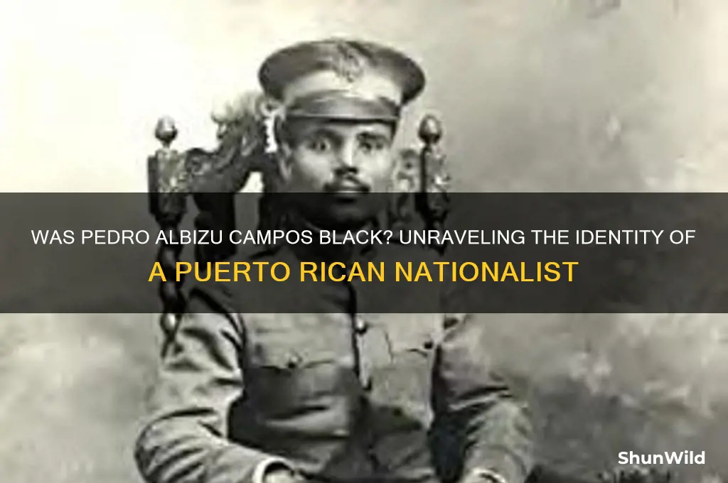 was pedro albizu campos black