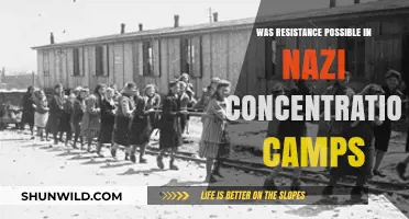 Resisting Nazi Oppression: Exploring Acts of Defiance in Concentration Camps