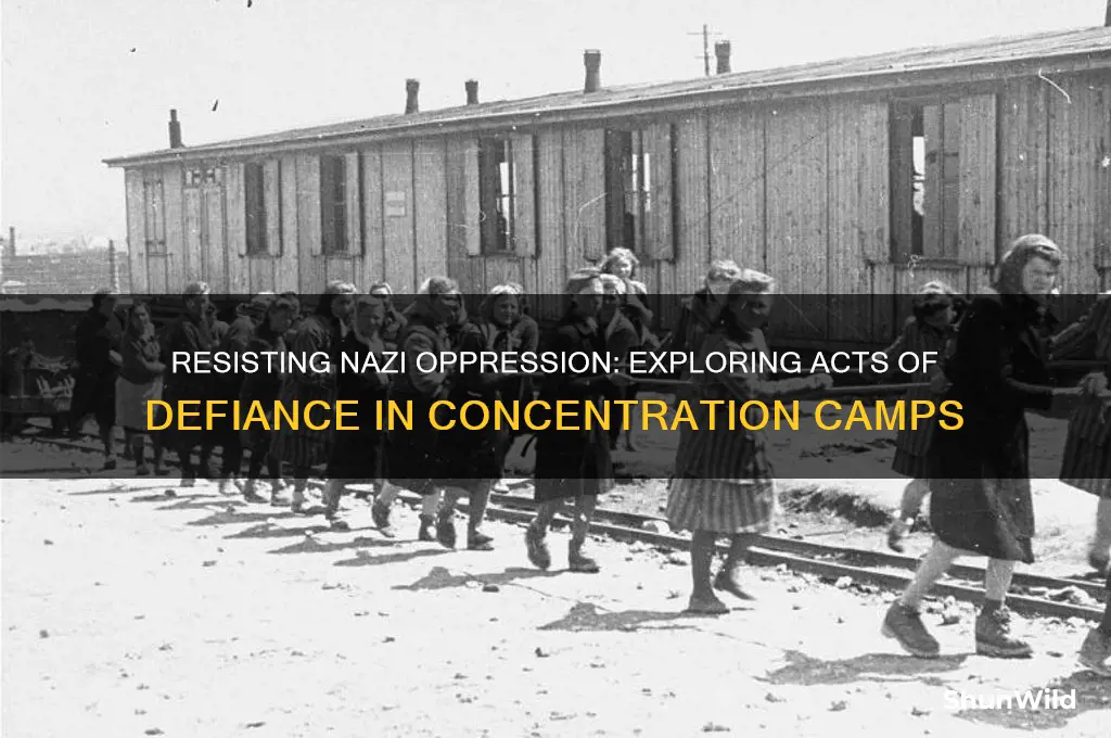 was resistance possible in nazi concentration camps
