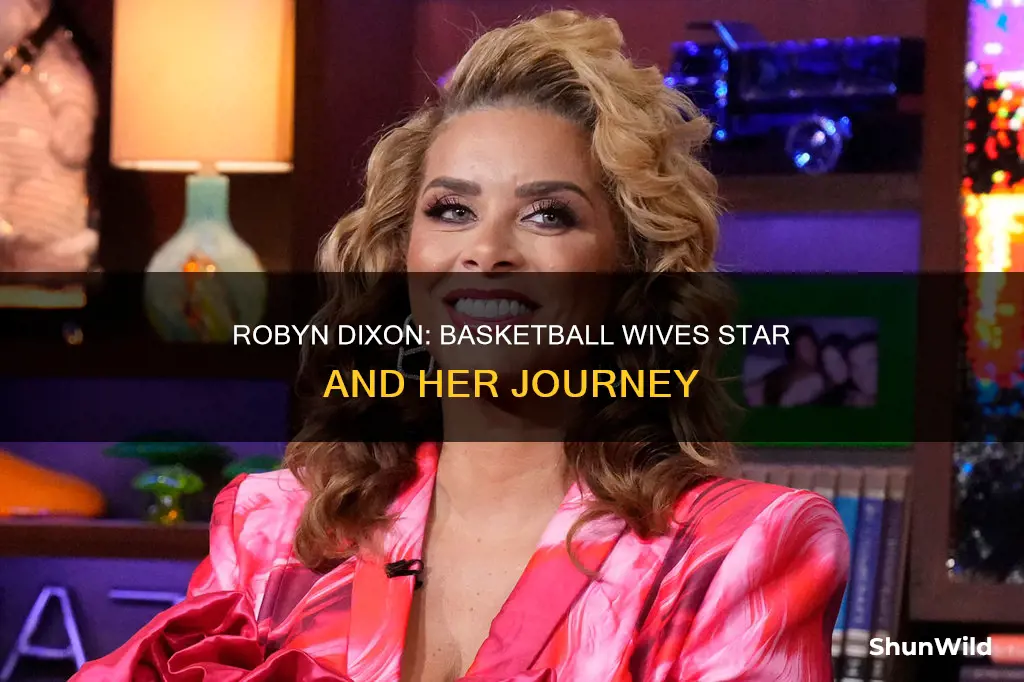 was robyn dixon on basketball wives