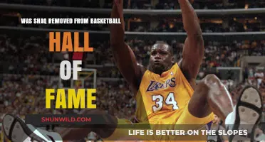 Shaq's Basketball Hall of Fame Status: Removal or Retention?