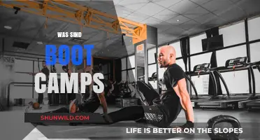 Was sind Boot Camps? Einblicke, Vorteile und Anwendungsbereiche