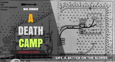 Sobibor: Death Camp or Something Else? Uncovering the Truth
