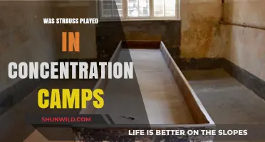 Strauss's Music in Concentration Camps: Historical Facts and Controversies