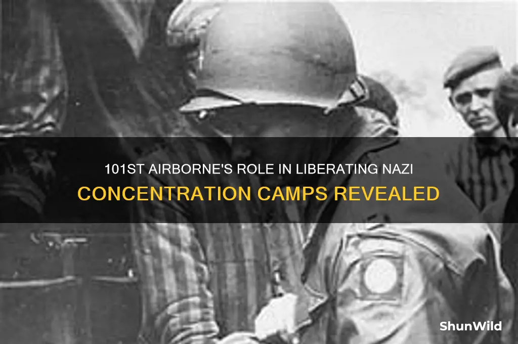 was the 101st airborne involved in concentration camp