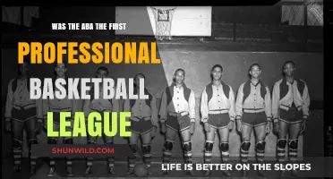 The ABA: Basketball's First Professional League?