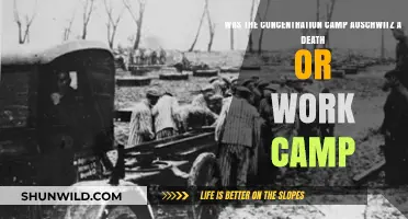 Auschwitz: Death Factory or Forced Labor Camp?