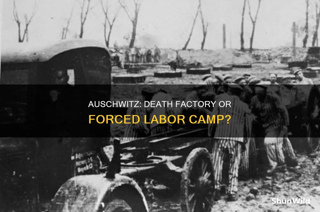 was the concentration camp auschwitz a death or work camp