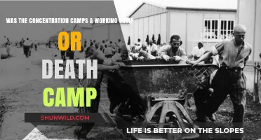 Concentration Camps: Labor Exploitation or Systematic Extermination?