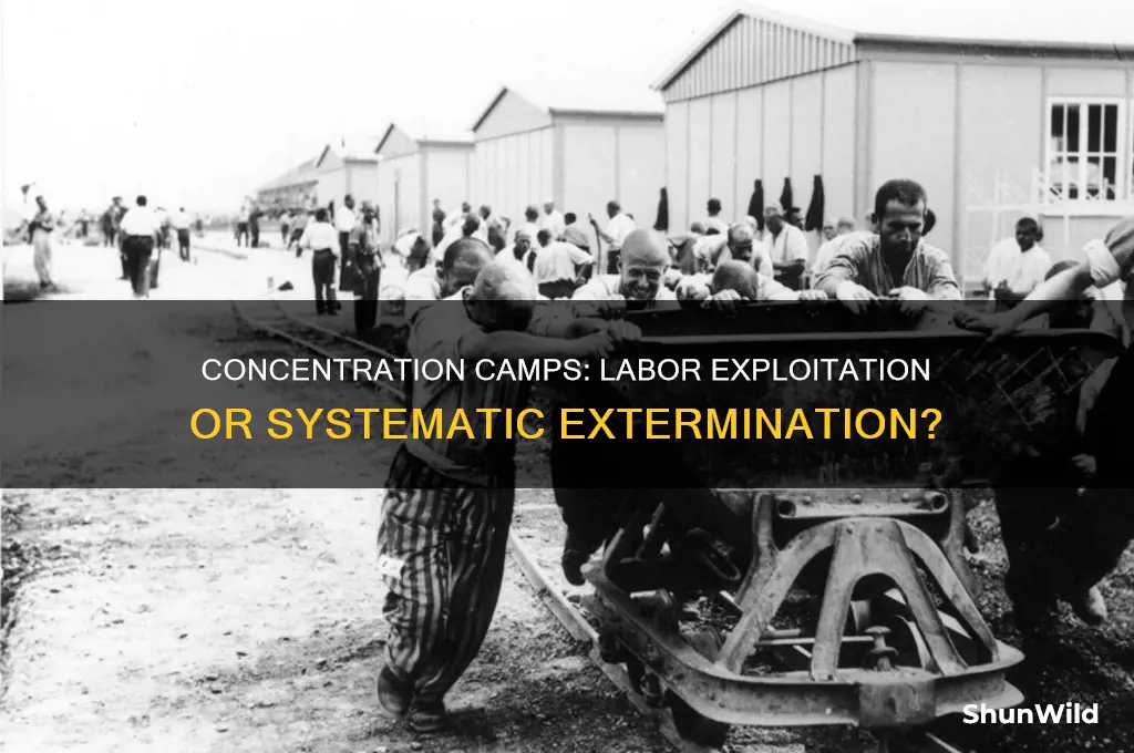 was the concentration camps a working camp or death camp