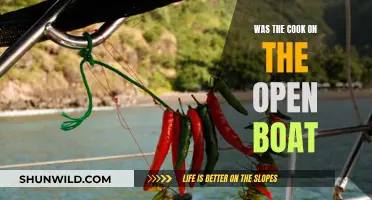 The Open Boat: Cook's Presence and Absence