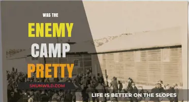Was the Enemy Camp Pretty? Exploring the Unexpected Aesthetics of War
