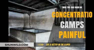 The Agonizing Truth: Gas Used in Concentration Camps and Its Pain