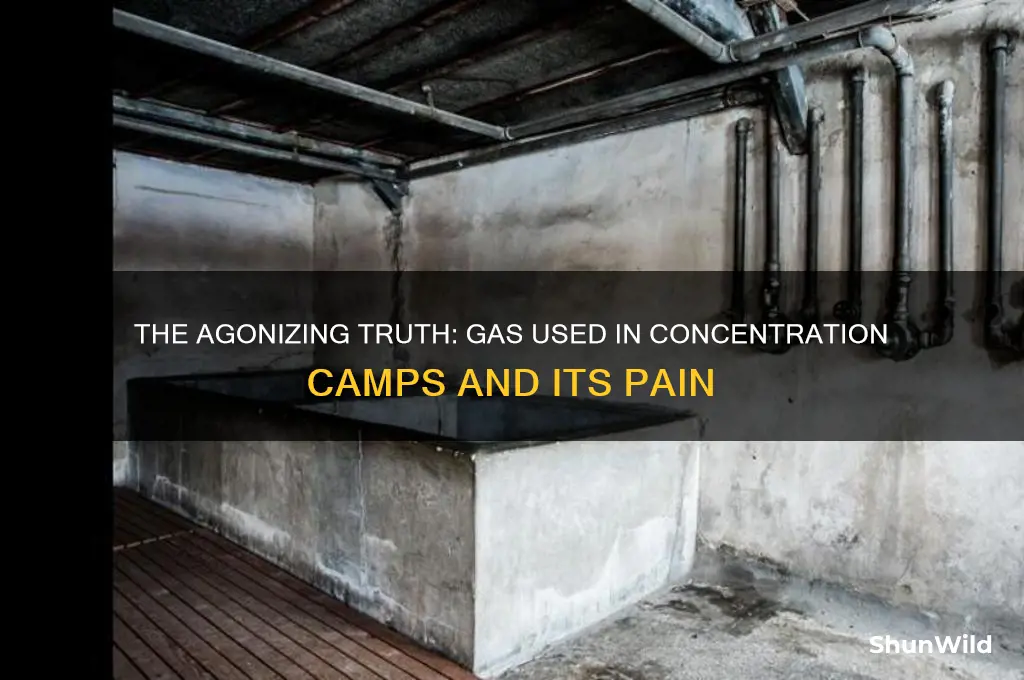 was the gas used in concentration camps painful