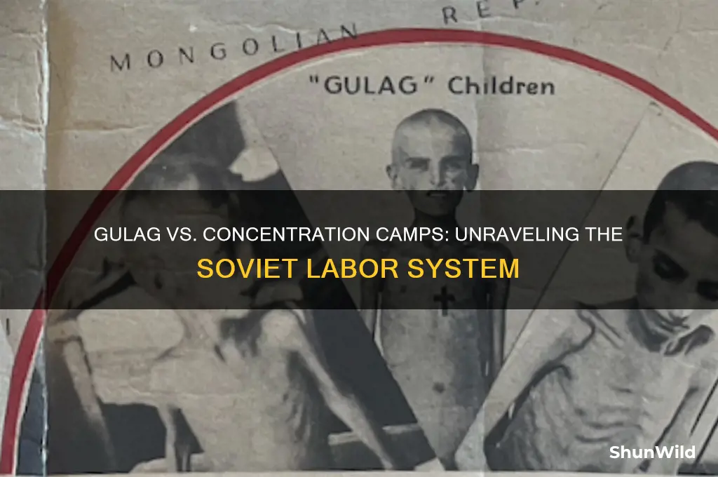 was the gulag a concentration camp