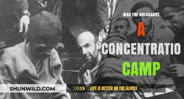 Debunking Myths: Understanding the Holocaust and Concentration Camps