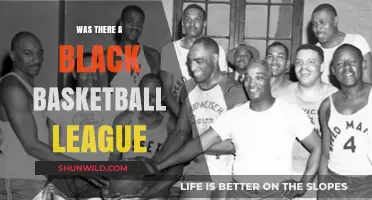 The Black Basketball League: A Forgotten History