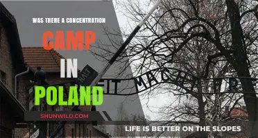 Poland's Dark History: Uncovering the Truth About Concentration Camps