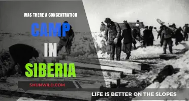 Siberian Concentration Camps: Uncovering the Hidden History of Soviet Oppression