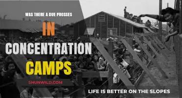Due Process Denied: The Legal Void in Concentration Camps