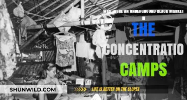 Hidden Trade: The Secret Black Market in Concentration Camps