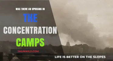 Resistance in the Shadows: Uncovering Concentration Camp Uprisings