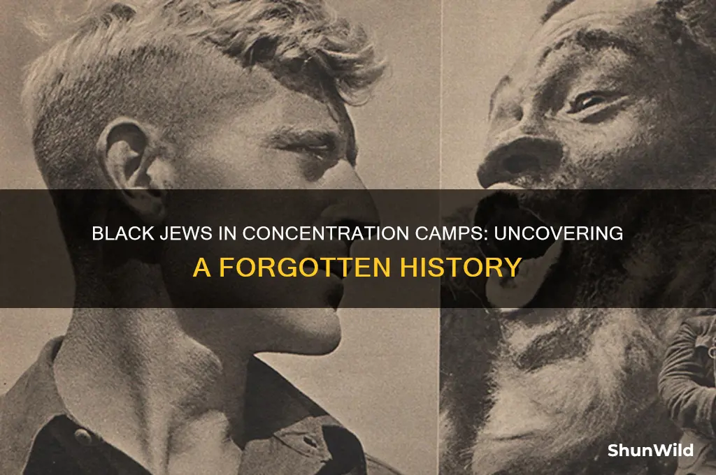 was there any black jews in the concentration camps