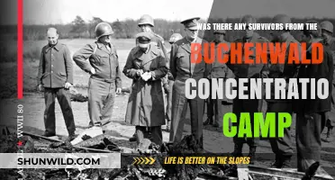 Buchenwald Concentration Camp: Uncovering Stories of Survival Against All Odds